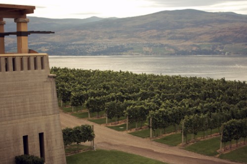 Misson Hill Winery