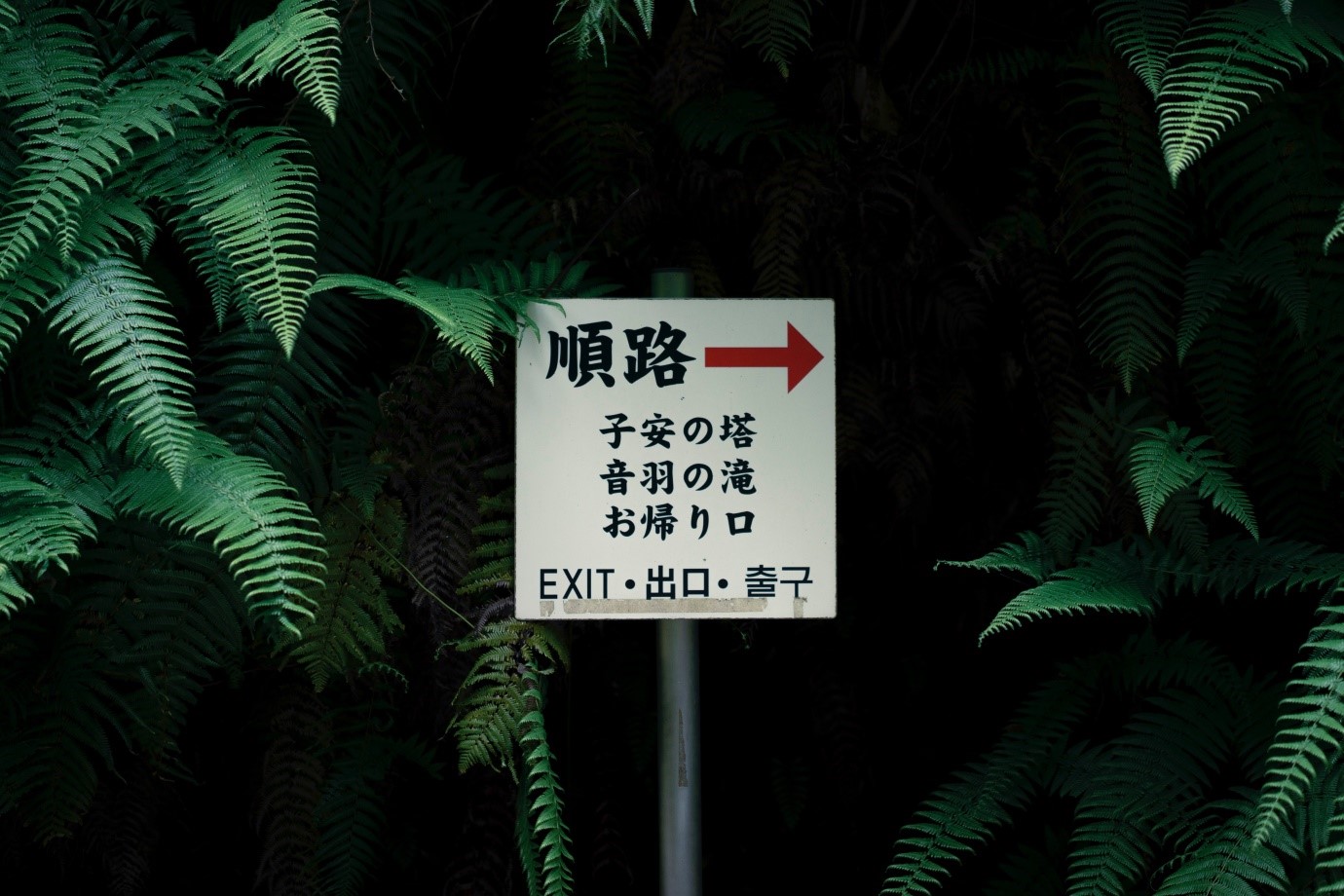 Look out for translationsl