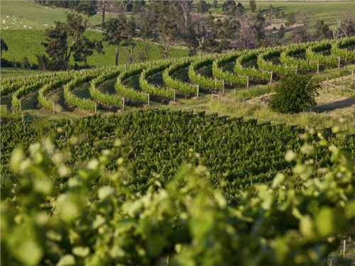 Yarra Yering
