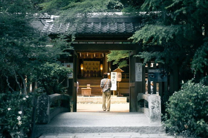 Tour Himeji Castle in spring